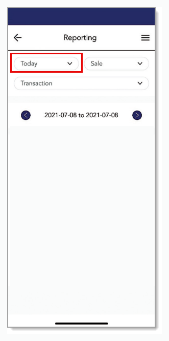 Date filter in Reporting