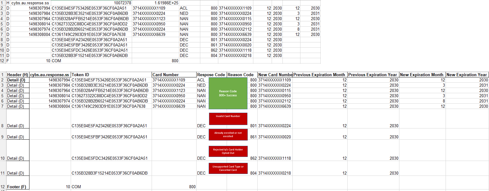 account updater excel report examples