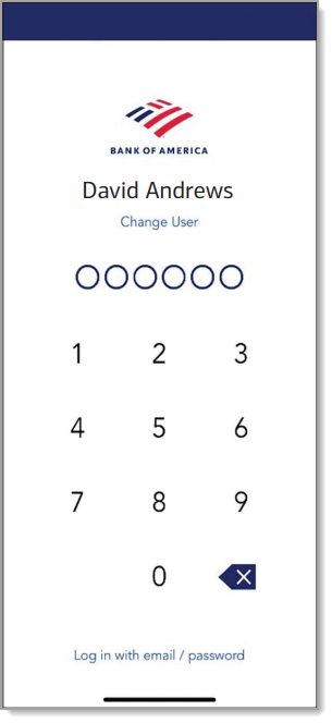 PIN pad of the MobilePOS app