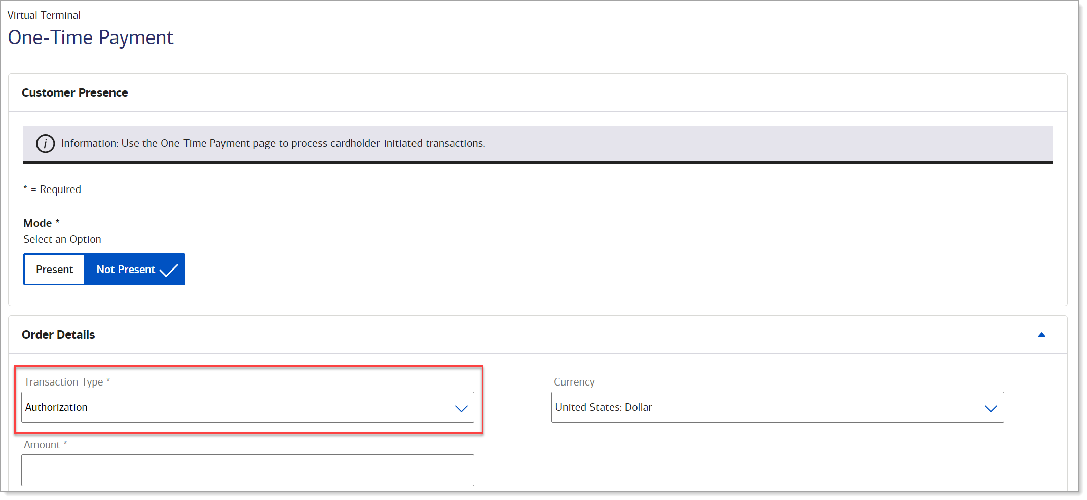 virtual terminal authorization transaction type selected